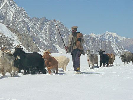 Passage au DARKOT PASS (4650m)