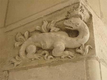 Salamandre