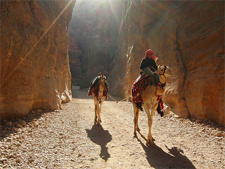 Chamelier � Petra