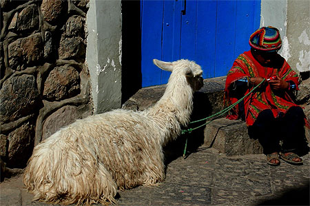 Jeune berger � Cuzco