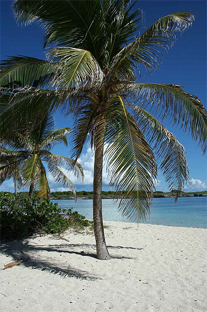 Petite terre