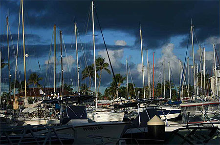 Marina St Fran�ois