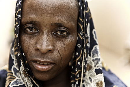 Niger: la sécheresse affame animaux et habitants
