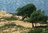 C�te nord de la Cr�te entre H�raklion et R�thymnon