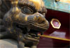 Lion dor�