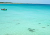 Paisible �meraude