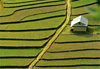 Les marches du ciel