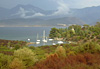 Petit port