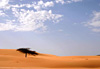 Mirage ou pas ?
