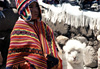 Petit p�ruvien et son lama