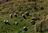 Chimborazo
