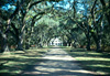 Rosedown plantation
