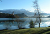 Bled