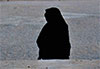 Persepolis