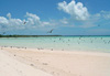 Tetiaroa, l��le aux oiseaux