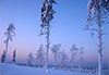 Paysage lunaire