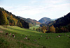 Ballade dans le Haut-Doubs