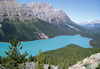 Peyto lake