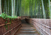 Arashiyama