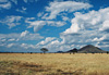 Savane