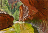 Reflexions � West Fork of Oak Creek Canyon