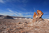 Paysage lunaire