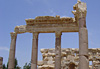 Cit� antique de Baalbeck