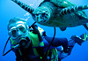 Balade accompagn�e dans le lagon