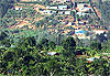Au pays des mille collines