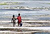 P�che � Zanzibar