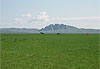 Steppes mongoles