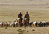 Vers la vall�e