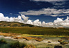 Rives du lac Titicaca