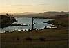Bush tasmanien