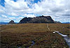 Sur la piste de l�Overland Track