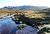 Craddle Mountain NP