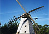 Moulin