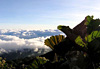 Mer de nuage sur le volcan Turrialba  