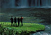 Whangarei falls