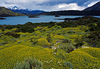 Patagonie