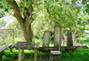 Verdure...