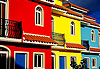 Colored life