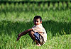 Enfant dans les rizi�res