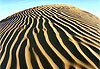 dune tigr�e