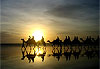 Broome