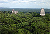 Les temples de Tikal