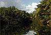 Indian River