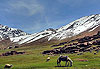 snow in morocco