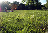Hyde Park
