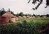 Village de brousse